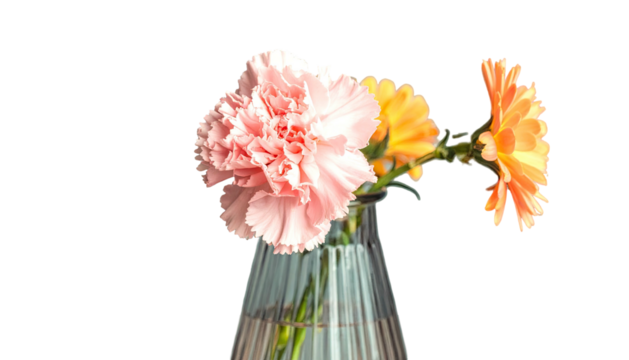 Close-up of three vibrantly colored flowers in a glass vase against a black background