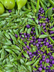 Exotic tropical fruits and vegetables at traditional asian food market.
Eggplant, Aubergine Sold in market.