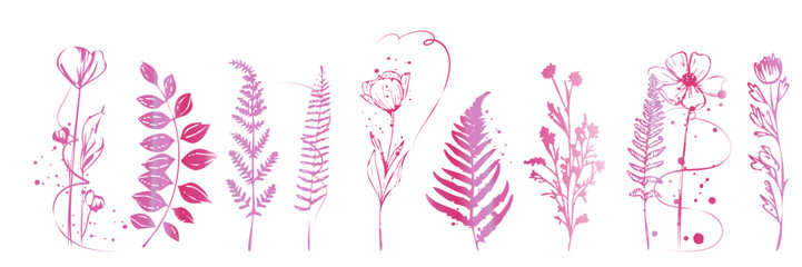 Elegant botanical illustration with flowers, leaves and curved stems arranged in refined decorative natural line art style.