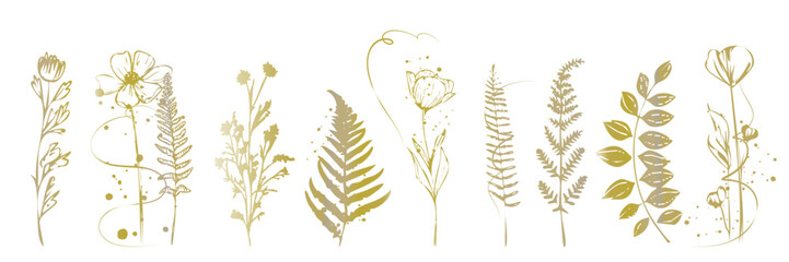 Botanical line art illustration featuring stylized flowers, curved stems and natural plant elements arranged in an elegant decorative floral composition.