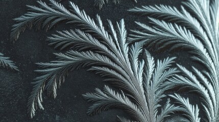 Intricate Frosted Leaves on a Cold Surface with Detailed Patterns and Textures Capturing the Beauty of Winter's Chill and Frost Formation in Nature