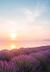 Dreamy sunrise over a lavender field with soft pastel colors and fog