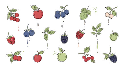 Assorted Berries and Fruits Illustration with Watercolor Accents. © Dika