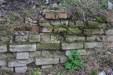A light gray wall, an old building, a fence with green moss and moisture. Light gray, red bricks, beautiful, stylish brickwork.