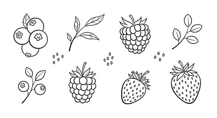 Assortment of Berries - Blueberries, Raspberries, and Strawberries Line Art. © Dika