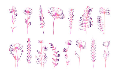 Botanical flower illustration with natural plant shapes, flowing stems and detailed floral forms presented in a clean line art style.