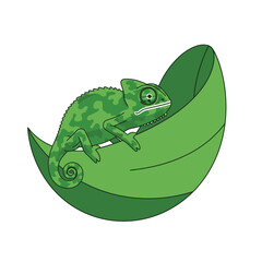 Green chameleon resting on a large green leaf, nature scene.
