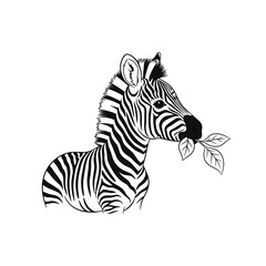 Zebra eating leaves, black and white illustration, nature.