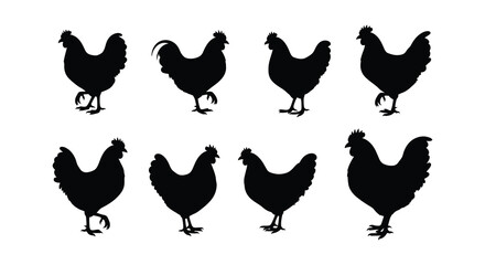 A collection of black silhouettes depicting various poses of farm chickens