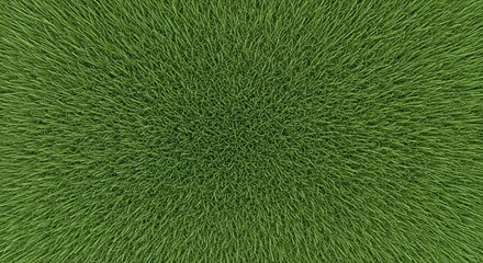 Lush Green Grass Top View Texture Background Pattern