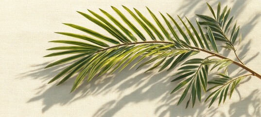 Fototapeta premium palm frond ornament on sandy beach towel tropical vibe