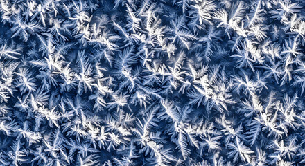 Obraz premium Frost Crystals on a Cold Winter Day: A Microscopic View.