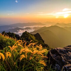 A breathtaking landscape photo showing golden light radiating over a mountain range at sunrise. Reeds sway in the foreground
