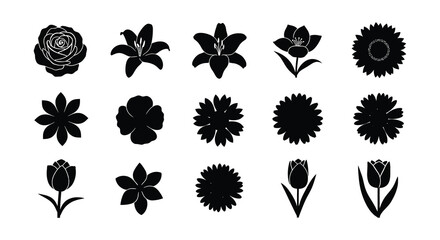 A collection of various black silhouette floral designs and blossom shapes
