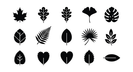 A collection of various black silhouette leaves displaying diverse botanical shapes