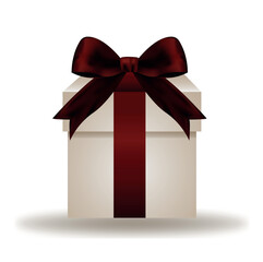 Elegant Gift Box with Luxurious Burgundy Ribbon