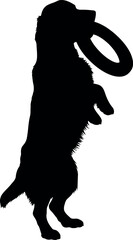 Dog silhouette playing frisbee