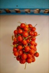 cherry tomatoes in the garden