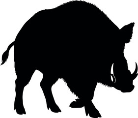 Wild boar silhouette powerful forest animal