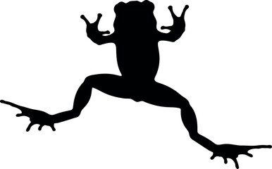 Jumping frog silhouette