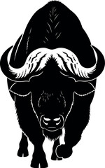 African buffalo silhouette charging