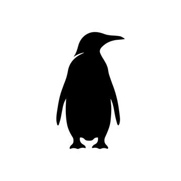 Black silhouette of a standing penguin on a white background, a simple and iconic animal illustration.