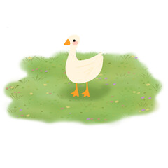 Cute Cartoon Goose or Duck Standing on Green Grass with Transparent Background
