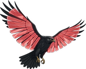 Illustration of a black hawk with red wings vector design of a bird of prey in flight isolated on white background