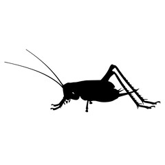Black silhouette of a cricket insect with long antennae and prominent legs, viewed from the side on a white background.