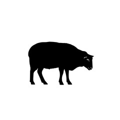 A black silhouette of a sheep standing and looking down, isolated on a white background.