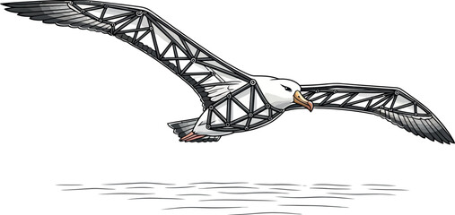 Albatross bird flying over water geometric vector illustration perfect for nature and wildlife designs
