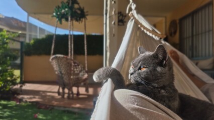 A face made of plush perfection