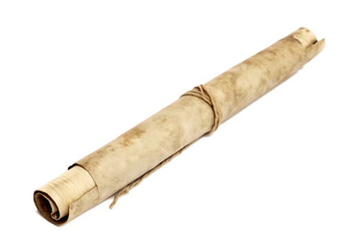 Ancient rolled parchment scroll tied with string isolated on white background