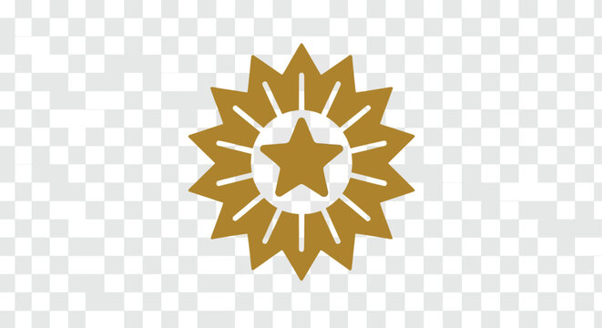 Award icon with star emblem