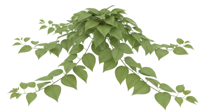 Lush foliage with delicate green leaves for nature-inspired design elements and botanical accents in your projects - Powered by Adobe