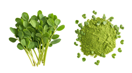 Vibrant fresh fenugreek leaves with textured surface and fine detail on transparent background