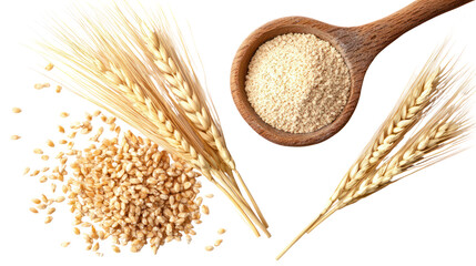 Wheat grains and flour in a wooden spoon isolated on transparent background