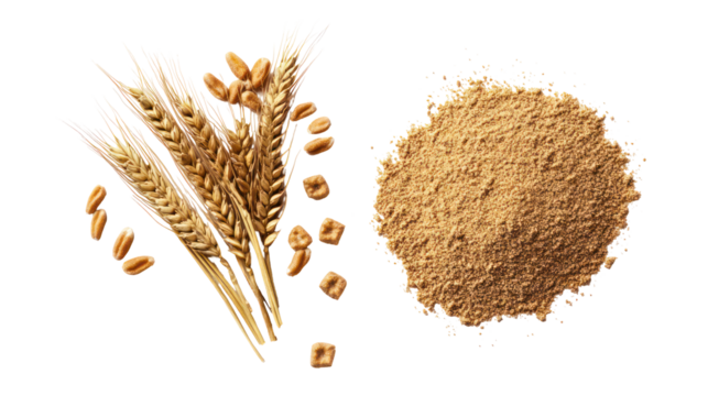 Wheat ears and bran isolated on transparent background