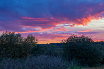 Obraz premium An intense, dramatic sunset or sunrise at twilight, where the clouds are painted in deep shades of purple, pink, and orange. The foreground features a dim landscape with bushes and thickets, creating 