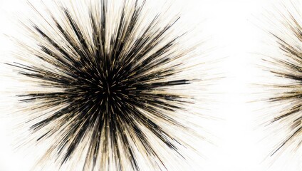 Obraz premium Close-up of a spiky seed head against a white background.