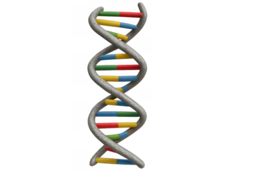 Dna double helix structure visualizing genetics, molecular biology, and healthcare data with a transparent background