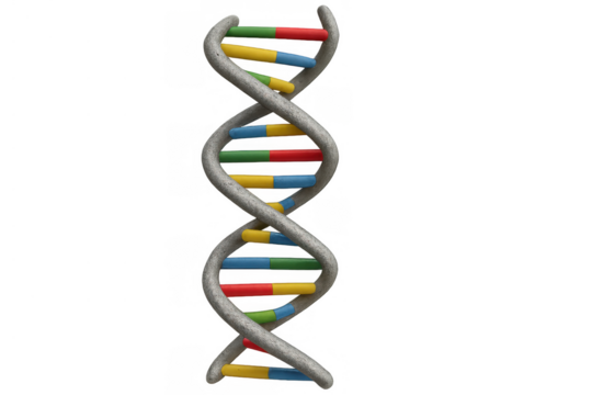 Dna double helix structure visualizing genetics, molecular biology, and healthcare data with a transparent background