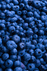 Fresh blueberry background. Texture blueberry berries close up.