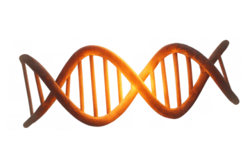 Dna double helix structure forming genetic code scientific research and molecular biology concept on transparent background