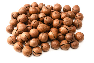 Macadamia nuts in a shell isolated on a white background.