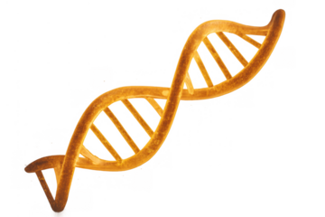 Dna double helix structure illustrating genetics and biotechnology concepts with a transparent background