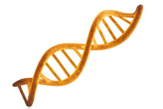Dna double helix structure illustrating genetics and biotechnology concepts with a transparent background