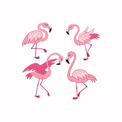 Obraz premium Pink flamingo birds vector illustration on white background
