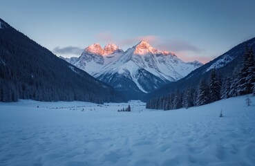 Fototapeta premium Majestic snow capped mountains in winter valley at sunrise. Golden light illuminates peaks above dark pine tree forest, pristine snow covered ground. Cold frosty nature, wilderness panorama. Serene