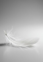 Obraz premium Delicate white feather resting gently on a clean, solid, bright white backdrop. Close-up view emphasizing soft texture and natural curves ,smooth ,softness ,bright